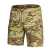 Шорти Basic Multicam