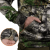 Зимове худі Basic Sequoia 5