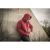 Куртка Helikon-Tex Urban Tactical Hoodie Lite (Kangaroo) 2