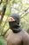 Балаклава Tribe Balaclava, Оливковий