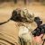 Панама Boonie 2.0 Multicam 3