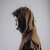 Куртка Helikon-Tex Squall Hardshell – Coyote. Защита от дождя и снега 5