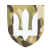 Шеврон Camotec ЗСУ Армійська авіація (7*8) MC — Мультикам