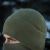 Шапка M-Tac Watch Cap фліс Light Polartec Gen.II Army Олива 6
