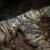 Куртка зимняя M-Tac Alpha Gen.IV Pro Primaloft. Мультикам 4