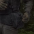 Аптечка увеличенная PRO (подсумок-органайзер). Cordura 1000. Черная 4