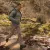 Штани тактичні 5.11 Tactical® "Icon Pants" Kangaroo 12