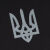 Футболка с рисунком "Тризуб Logo" Combat Black 3
