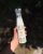 Пропитка для снаряжения Base Camp MGP Spray, 300 мл 7