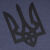 Футболка з малюнком "Тризуб Logo" Blue Graphite 4