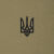 Футболка з малюнком "Тризуб Logo" Tan 499 4