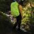 Чохол для рюкзака Lifeventure Rucksack Rain Cover 65 L 5
