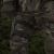 Платформа на стегно (L/XL). Cordura 1000. Кріплення Molle. Мультикам 5