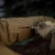 Куртка зимова M-Tac Alpha Gen.III Pro Primaloft. Койот 5