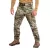 Брюки Stalker 3.0 Twill Multicam
