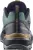 Кросівки Salomon X ULTRA 360 GTX, Urban Chic/Black/Plantation 4