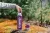 Термос Tramp Expedition Line 1,2 л UTRC-028, фиолетовый 6