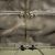 Сумка Tasmanian Tiger Duffel 65 MC, Multicam 17