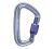 Карабин Black Diamond LiteForge Screwgate Carabiner, Gray