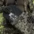 Каремат для сидіння розкладний потрійний. Cordura 500D. Піксель 12