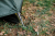Палатка Tramp Nishe 2 (v2) green UTRT-053 New, зеленый 6