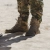 Тактические ботинки Lowa Zephyr Mk2 Gore-Tex® MID TF. Coyote 46 3