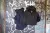 Куртка тактична для штормової погоди "5.11 Tactical Sabre 2.0 Jacket" Coyote 5