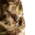 Спортивний костюм FitPro Zip LT Multicam 6