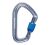Карабін Black Diamond HotForge Screwgate Carabiner, р., Grey