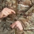 Куртка Pentagon Artaxes Soft Shell. Pentacamo 4