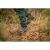 Ботинки мужские Asolo X-Hunt Forest GV MM, Military Green 7