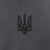 Футболка з малюнком "Тризуб Logo" Graphite 3