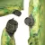 Килимок самонадувний Tramp Сonnect Camo UTRI-007 183x60x5 см Camo 5