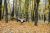 Гамак Tribe Hammock, Темно-синій 6