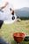 Ємність для води Tribe Water Carrier PVC 15 л, Біла 5