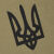 Футболка з малюнком "Тризуб Logo" Tan 499 3