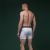 Трусы мужские "Soldier's Boxer". Материал Charged Cotton. Белые 4