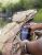 Фильтр для воды LifeStraw Peak Gravity, 3 л, Dark Mountain Gray 11