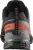 Кросівки Salomon XA PRO 3D V9 GTX, Turbulence/Black/Burnt Ochre 4