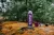 Термос Tramp Expedition Line 0,9 л, фиолетовый 5