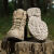 Ботинки "Lowa Zephyr GTX® MID TF" (чел.) Coyote 6