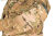 Куртка камуфляжна вологозахисна польова "Smock PSWP" MTP/MCU camo 6