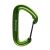 Карабін Black Diamond LiteWire, Envy Green