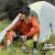 Газовий пальник з п'єзопідпалом туристичний Jetboil Mightymo Gray 3
