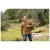 Куртка демісезонна 5.11 Tactical "Watch Jacket Camo" VOLCANIC CAMO 8