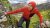 Кофта чоловіча Black Diamond M Factor Hoody, Kingfisher 21